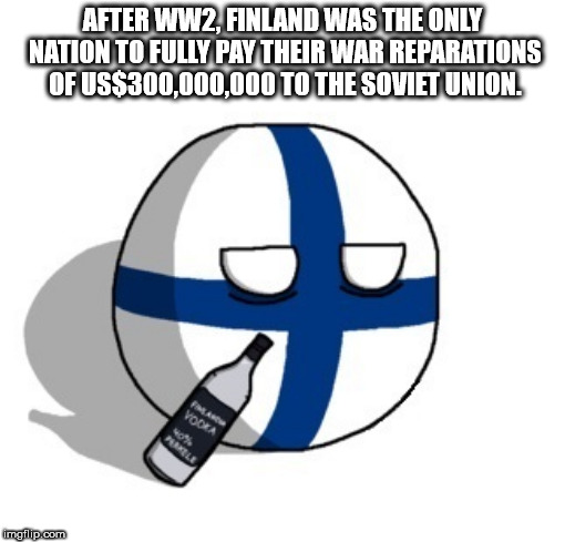 finnish country ball - After WW2, Finland Was The Only Nation To Fully Pay Their War Reparations Of Us$300,000,000 To The Soviet Union. mgflip.com