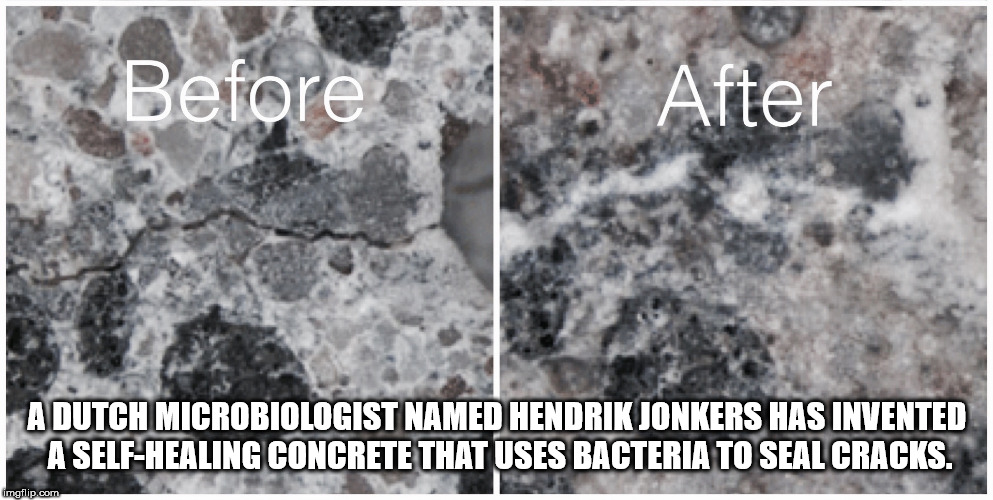 bio concrete - Before After A Dutch Microbiologist Named Hendrik Jonkers Has Invented AselfHealing Concrete That Uses Bacteria To Seal Cracks. imgflip.com