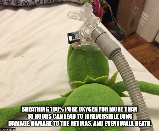 reaction meme kermit - Breathing 100% Pure Oxygen For More Than 16 Hours Can Lead To Irreversible Lung Damage. Damage To The Retinas, And Eventually. Death imgflip.com
