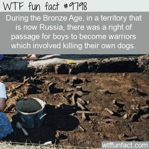 fun facts - soil - Wtf fun fact During the Bronze Age, in a territory that is now Russia, there was a right of passage for boys to become warriors which involved killing their own dogs. wtffunfact.com