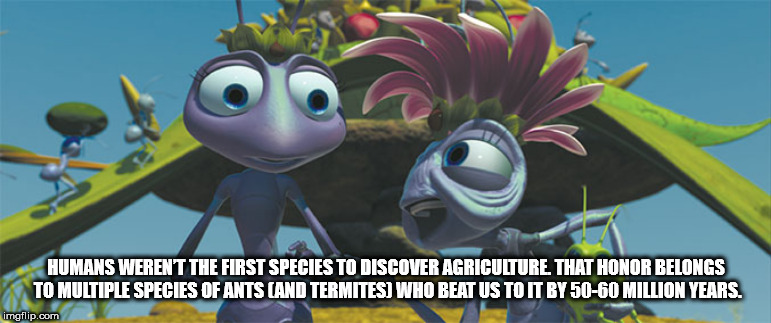 fun facts - bug's life they come they eat they leave - Humans Werent The First Species To Discover Agriculture. That Honor Belongs To Multiple Species Of Ants And Termites Who Beat Us To It By 5060 Million Years. imgflip.com