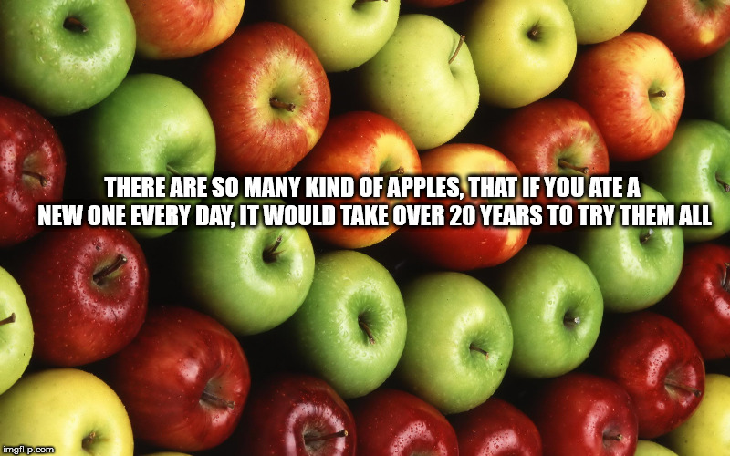 fun facts - red and green apple backgrounds - There Are So Many Kind Of Apples, That If You Ate A New One Every Day, It Would Take Over 20 Years To Try Them All imgflip.com