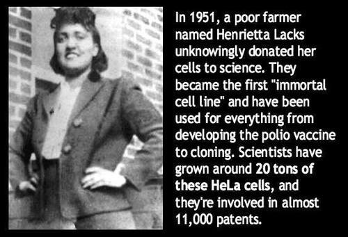 fun facts - immortal life of henrietta lacks - In 1951, a poor farmer named Henrietta Lacks unknowingly donated her cells to science. They became the first "immortal cell line" and have been used for everything from developing the polio vaccine to cloning