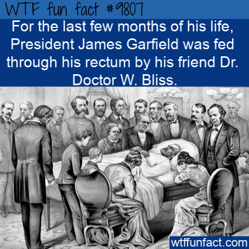 september 19 1881 - Wtf fun fact For the last few months of his life, President James Garfield was fed through his rectum by his friend Dr. Doctor W. Bliss. Obog Poe wtffunfact.com