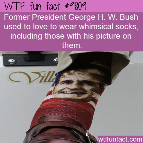 photo caption - Wtf fun fact Former President George H. W. Bush used to love to wear whimsical socks, including those with his picture on them. Will wtffunfact.com