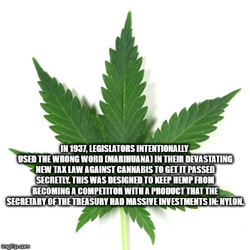 trap png - In 1937, Legislators Intentionally Used The Wrong Word Marihuana In Their Devastating New Tax Law Against Cannabis To Get It Passed Secretly This Was Designed To Keep Hemp From Becoming A Competitor With A Product That The Secretary Of The Trea