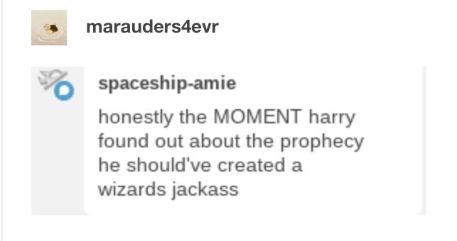 Wizards' Jackass