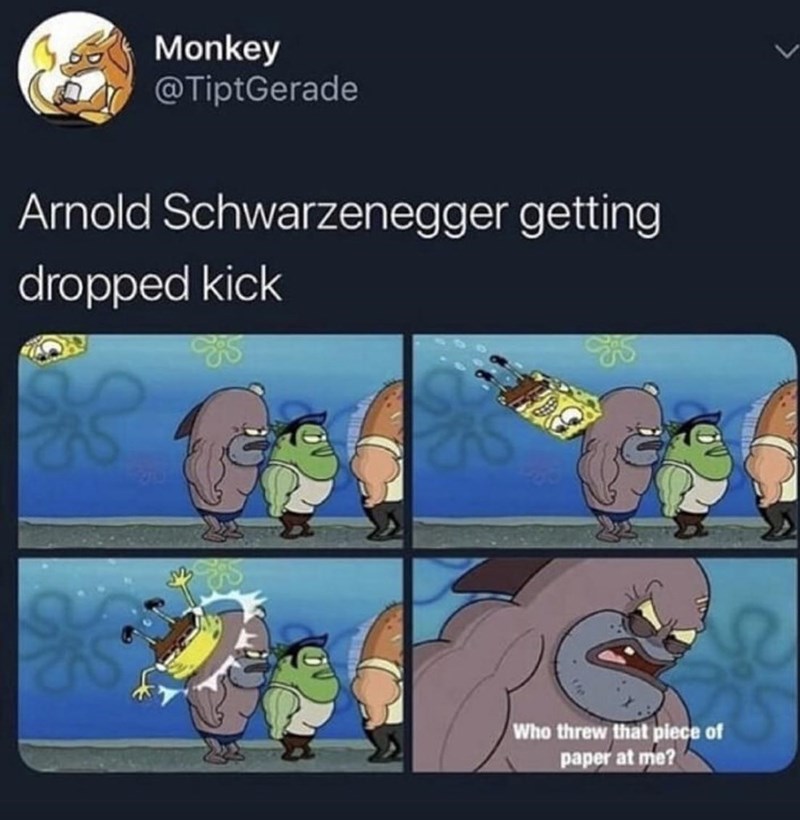 sponge bob meme - Arnold Schwarzenegger drop kick meme - Monkey Arnold Schwarzenegger getting dropped kick Who threw that piece of paper at me?