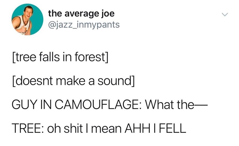 angle - the average joe tree falls in forest doesnt make a sound Guy In Camouflage What the Tree oh shit I mean Ahhi Fell