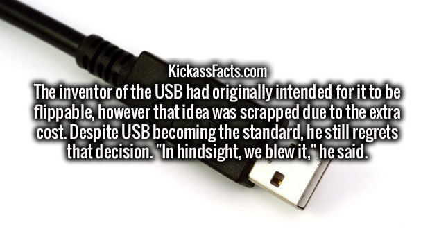 usb cable - KickassFacts.com The inventor of the Usb had originally intended for it to be flippable, however that idea was scrapped due to the extra cost. Despite Usb becoming the standard, he still regrets that decision. "In hindsight, we blew it," he sa