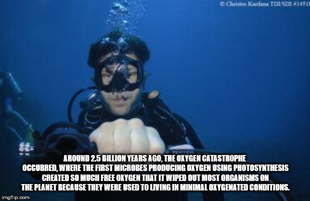 divemaster - Cluridon Kandans Tdi Sde 674511 Around 25 Billion Years Ago, The Oxygen Catastrophe Occurred. Where The First Microbes Producing Oxygen Using Photosynthesis Created So Much Free Oxygen That It Wiped Out Most Organisms On The Planet Because Th