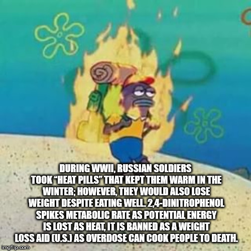 spongebob memes on fire - During Wwii, Russian Soldiers Took Heat Pills" That Kept Them Warm In The Winterhowever, They Would Also Lose Weight Despite Eating Well 2,4Dinitrophenol Spikes Metabolic Rate As Potential Energy Is Lost As Heat, It Is Banned As 