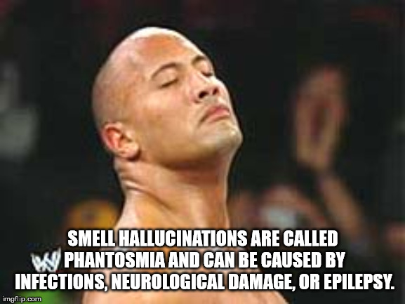 photo caption - Smell Hallucinations Are Called W Phantosmia And Can Be Caused By Infections Neurological Damage, Or Epilepsy. imgflip.com