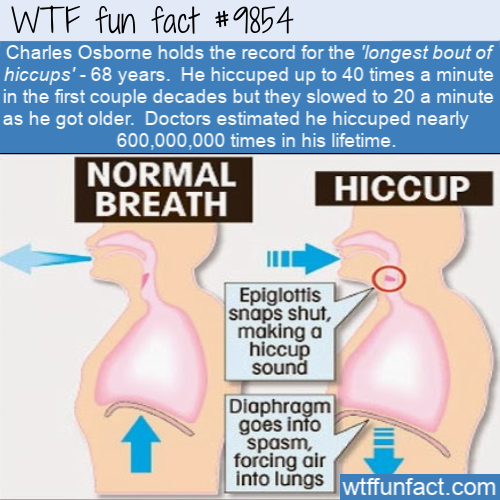 interesting funny facts - Wtf fun fact Charles Osborne holds the record for the longest bout of hiccups' 68 years. He hiccuped up to 40 times a minute in the first couple decades but they slowed to 20 a minute as he got older. Doctors estimated he hiccupe