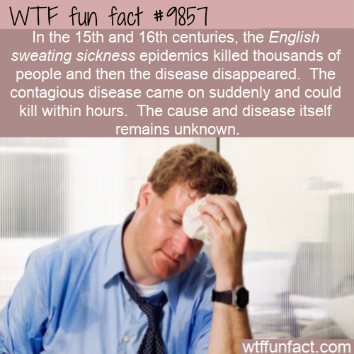 people sweating - Wtf fun fact In the 15th and 16th centuries, the English sweating sickness epidemics killed thousands of people and then the disease disappeared. The contagious disease came on suddenly and could kill within hours. The cause and disease 