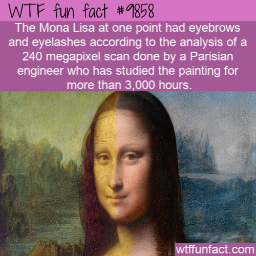 louvre, mona lisa - Wtf fun fact The Mona Lisa at one point had eyebrows and eyelashes according to the analysis of a 240 megapixel scan done by a Parisian engineer who has studied the painting for more than 3,000 hours. wtffunfact.com