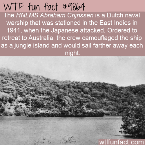 minesweeper disguised as island - Wtf fun fact The Hnlms Abraham Crijnssen is a Dutch naval warship that was stationed in the East Indies in 1941, when the Japanese attacked. Ordered to retreat to Australia, the crew camouflaged the ship as a jungle islan