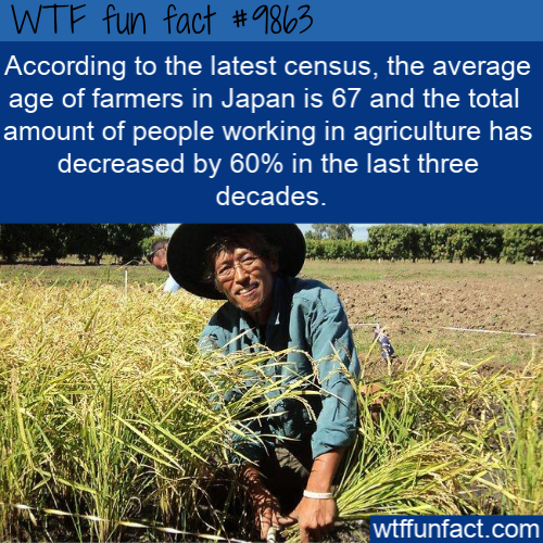 crop - Wtf fun fact According to the latest census, the average age of farmers in Japan is 67 and the total amount of people working in agriculture has decreased by 60% in the last three decades. wtffunfact.com