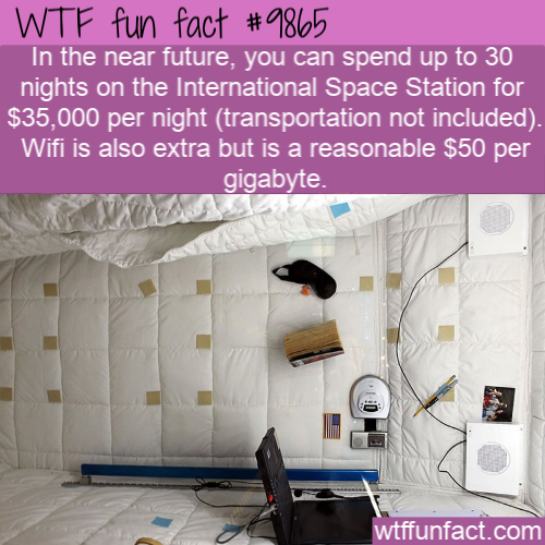 interior bedroom international space station - Wtf fun fact In the near future, you can spend up to 30 nights on the International Space Station for $35,000 per night transportation not included. Wifi is also extra but is a reasonable $50 per gigabyte. wt