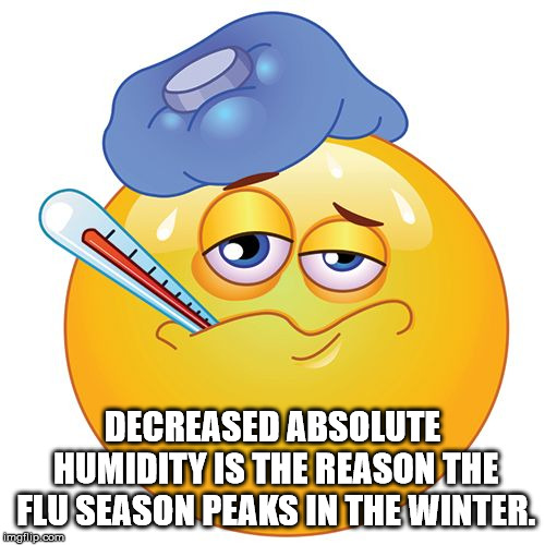 cartoon - Decreased Absolute Humidity Is The Reason The Flu Season Peaks In The Winter. Imgflip.com