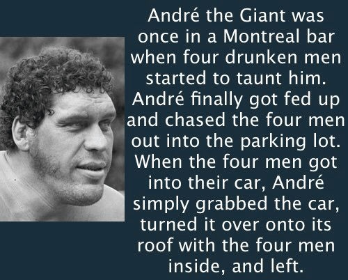 human behavior - Andr the Giant was once in a Montreal bar when four drunken men started to taunt him. Andr finally got fed up and chased the four men out into the parking lot. When the four men got into their car, Andr simply grabbed the car, turned it o