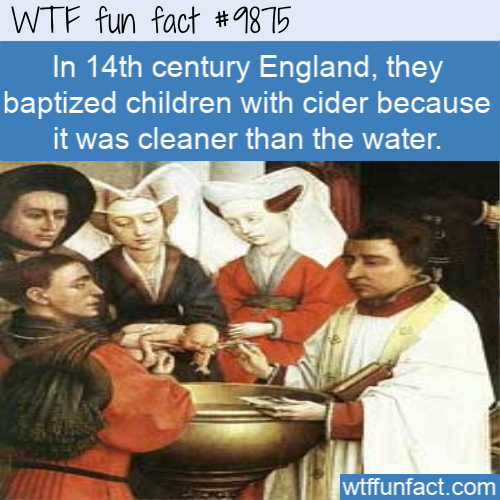 human behavior - Wtf fun fact In 14th century England, they baptized children with cider because it was cleaner than the water. wtffunfact.com