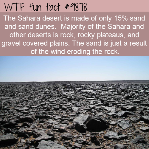 fun fact about rocks - Wtf fun fact The Sahara desert is made of only 15% sand and sand dunes. Majority of the Sahara and other deserts is rock, rocky plateaus, and gravel covered plains. The sand is just a result of the wind eroding the rock.