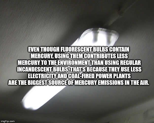 lighting - Even Though Fluorescent Bulbs Contain Mercury Using Them Contributes Less Mercury To The Environment Than Using Regular Incandescent Bulbs. That'S Because They Use Less Electricity And CoalFired Power Plants Are The Biggest Source Of Mercury Em