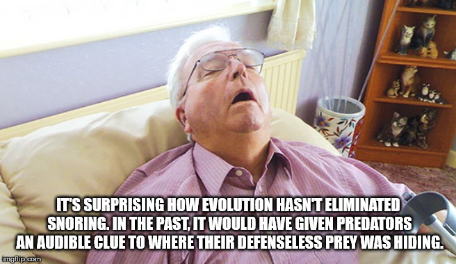 Shower thought about grandpa sleeping - It'S Surprising How Evolution Hasnt Eliminated Snoring. In The Past. It Would Have Given Predators An Audible Clue To Where Their Defenseless Prey Was Hiding. imgflip.com