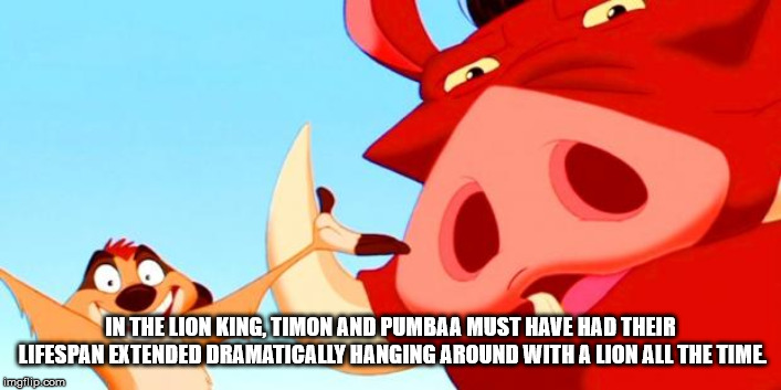 Shower thought about cartoon - In The Lion King, Timon And Pumbaa Must Have Had Their Lifespan Extended Dramatically Hanging Around With A Lion All The Time, imgflip.com