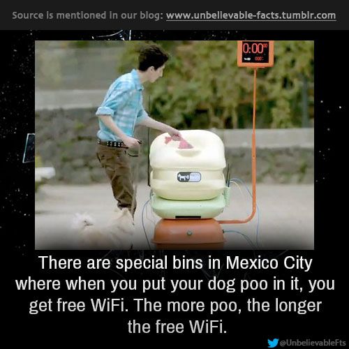 Source is mentioned in our blog There are special bins in Mexico City where when you put your dog poo in it, you get free WiFi. The more poo, the longer the free WiFi. Unbelievablets