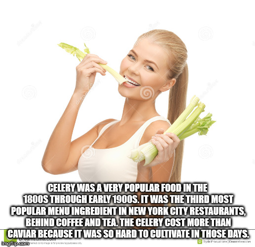 beauty - Celery Was A Very Popular Food In The 1800S Through Early 1900S. It Was The Third Most Popular Menu Ingredient In New York City Restaurants Behind Coffee And Tea. The Celery Cost More Than Caviar Because It Was So Hard To Cultivate In Those Days.