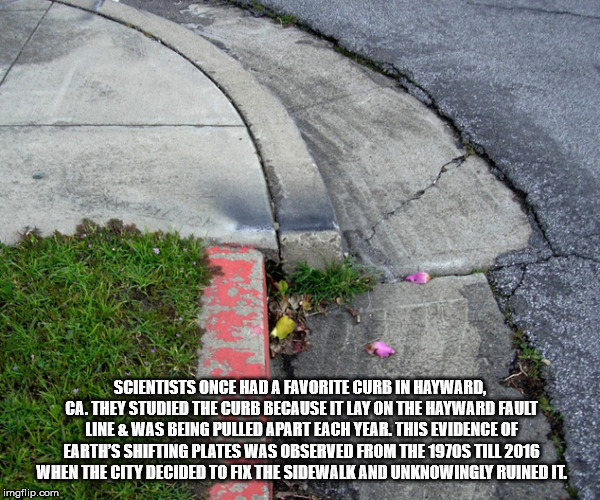 hayward fault curb - Scientists Once Had A Favorite Curb In Hayward, Ca. They Studied The Curb Because It Lay On The Hayward Fault Line Was Being Pulled Apart Each Year. This Evidence Of Earth'S Shifting Plates Was Observed From The 1970S Til 2016 When Th