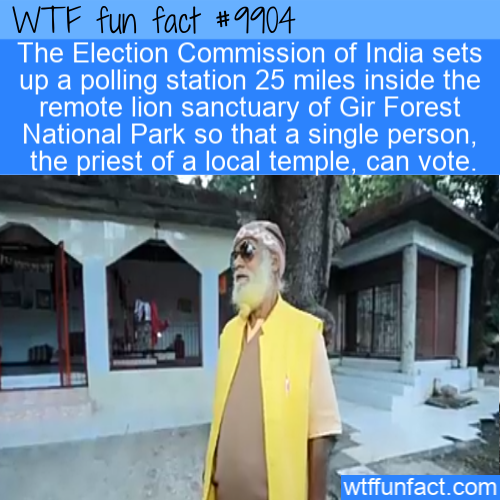 Wtf fun fact The Election Commission of India sets up a polling station 25 miles inside the remote lion sanctuary of Gir Forest National Park so that a single person, the priest of a local temple, can vote. wtffunfact.com