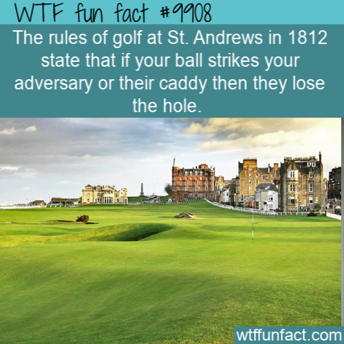 golf club - Wtf fun fact The rules of golf at St. Andrews in 1812 state that if your ball strikes your adversary or their caddy then they lose the hole. wtffunfact.com