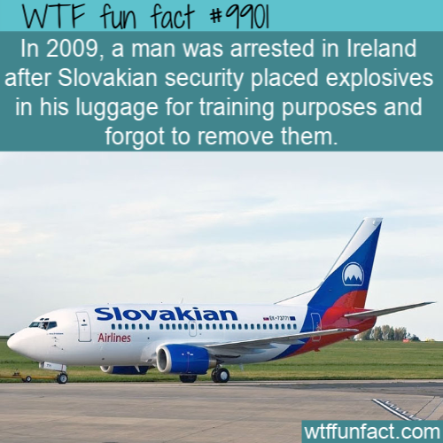 airline - Wtf fun fact In 2009, a man was arrested in Ireland after Slovakian security placed explosives in his luggage for training purposes and forgot to remove them. Slovakian Airlines wtffunfact.com