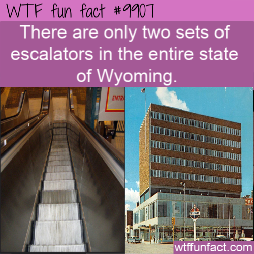 architecture - Wtf fun fact There are only two sets of escalators in the entire state of Wyoming. wtffunfact.com