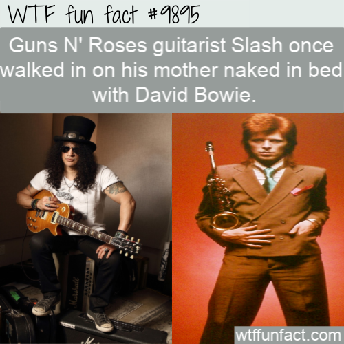 music - Wtf fun fact Guns N' Roses guitarist Slash once walked in on his mother naked in bed with David Bowie. wtffunfact.com