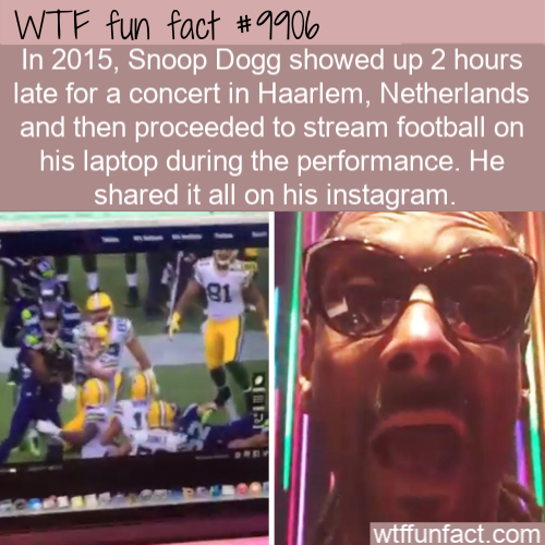 photo caption - Wtf fun fact In 2015. Snoop Dogg showed up 2 hours late for a concert in Haarlem, Netherlands and then proceeded to stream football on his laptop during the performance. He d it all on his instagram. Hicho wtffunfact.com