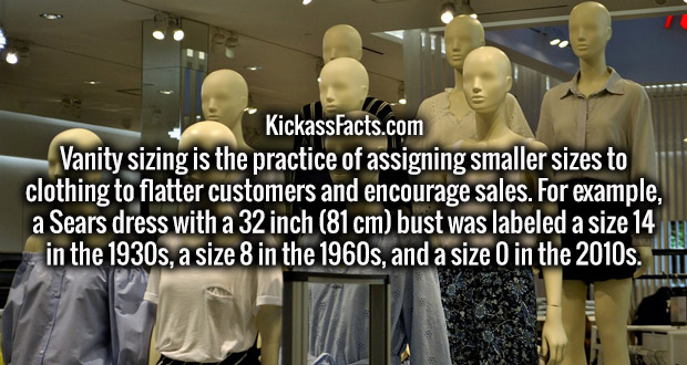 display window - KickassFacts.com Vanity sizing is the practice of assigning smaller sizes to clothing to flatter customers and encourage sales. For example, a Sears dress with a 32 inch 81 cm bust was labeled a size 14 in the 1930s, a size 8 in the 1960s