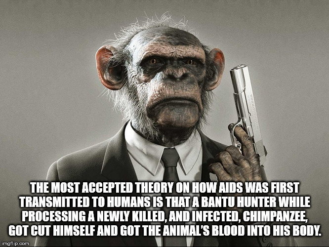 monkey with a gun - The Most Accepted Theory On How Aids Was First Transmitted To Humans Is Thata Bantu Hunter While Processing A Newly Killed, And Infected, Chimpanzee, Got Cut Himself And Got The Animal'S Blood Into His Body imgflip.com