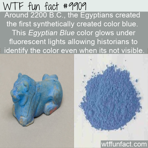 wtf fun fact - Wtf fun fact Around 2200 B.C., the Egyptians created the first synthetically created color blue. This Egyptian Blue color glows under fluorescent lights allowing historians to identify the color even when its not visible. wtffunfact.com