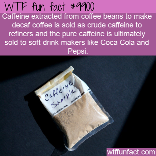 wtf fun fact 9896 - Wtf fun fact Caffeine extracted from coffee beans to make decaf coffee is sold as crude caffeine to refiners and the pure caffeine is ultimately sold to soft drink makers Coca Cola and Pepsi. Caffeine, Sample wtffunfact.com