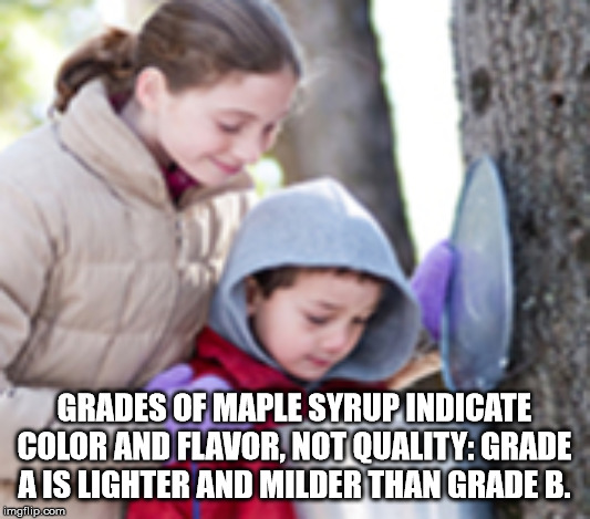 photo caption - Grades Of Maple Syrup Indicate Color And Flavor, Not Quality Grade A Is Lighter And Milder Than Grade B. imgflip.com