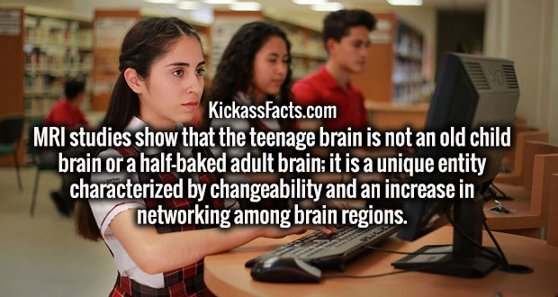 KickassFacts.com Mri studies show that the teenage brain is not an old child brain or a halfbaked adult brain; it is a unique entity characterized by changeability and an increase in networking among brain regions.