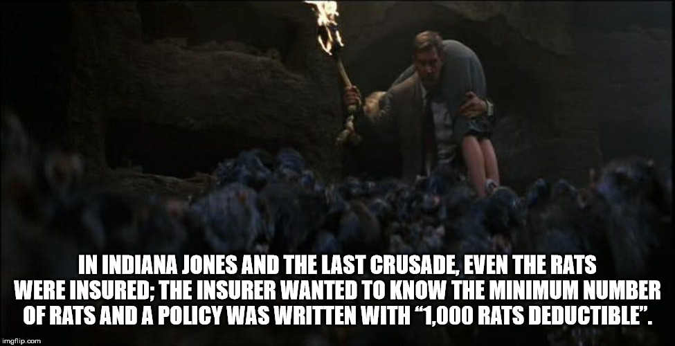 caving - In Indiana Jones And The Last Crusade, Even The Rats Were Insured; The Insurer Wanted To Know The Minimum Number Of Rats And A Policy Was Written With 1,000 Rats Deductible. imgflip.com