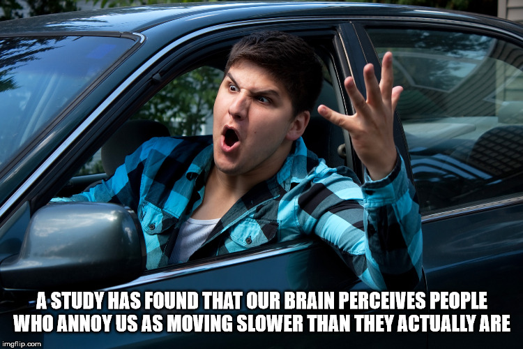 road rage - A Study Has Found That Our Brain Perceives People Who Annoy Us As Moving Slower Than They Actually Are imgflip.com