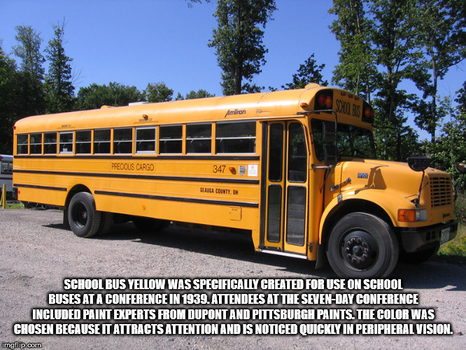 squad freshman year vs senior year - Amiran Preocus Cargo 347 Glauea County, Ch School Bus Yellow Was Specifically Created For Use On School Buses Ata Conference In 1939. Attendees At The SevenDay Conference Included Paint Experts From Dupont And Pittsbur