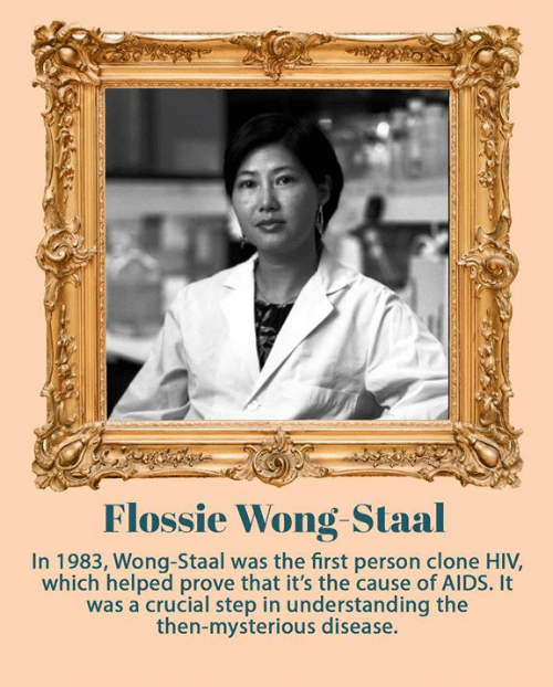 flossie wong staal - Flossie Wong Staal In 1983, WongStaal was the first person clone Hiv, which helped prove that it's the cause of Aids. It was a crucial step in understanding the thenmysterious disease.