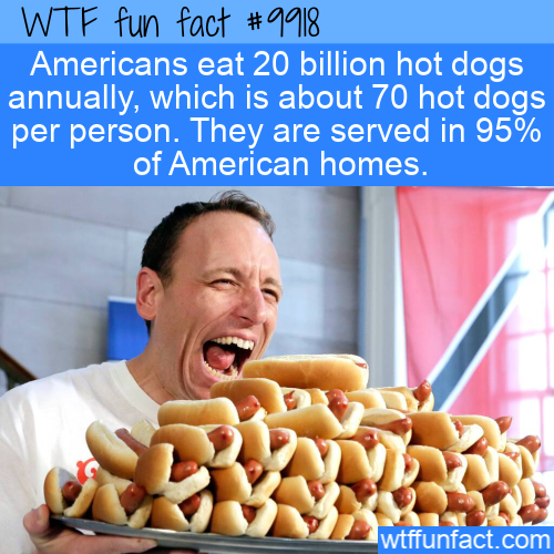 hot dog eating contest - Wtf fun fact Americans eat 20 billion hot dogs annually, which is about 70 hot dogs per person. They are served in 95% of American homes. wtffunfact.com